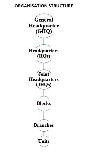 Organization Structure